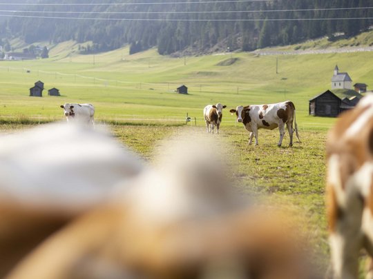 Hotel in Obertilliach – so muss Urlaub sein. Hotel in Obertilliach – so muss Urlaub sein.